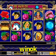 APP oficial da winok para mobile